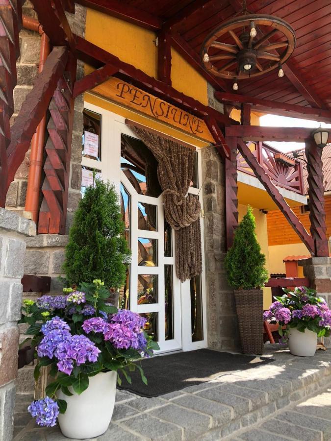 Raza Soarelui Pension (Adults only) Praid Exterior foto