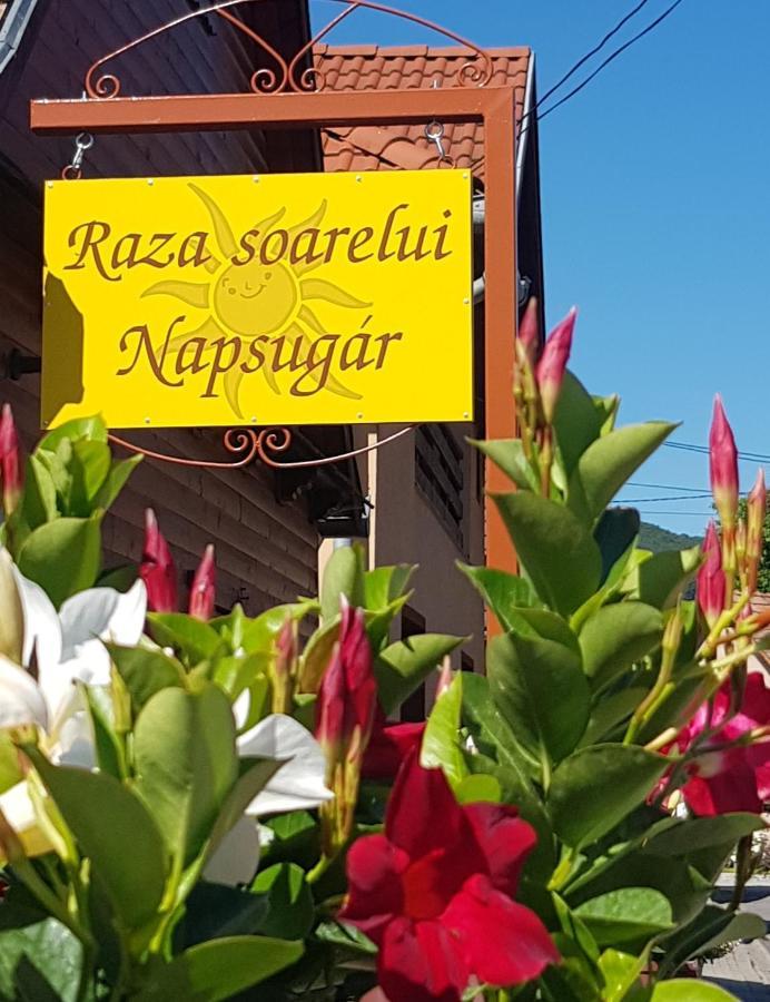 Raza Soarelui Pension (Adults only) Praid Exterior foto